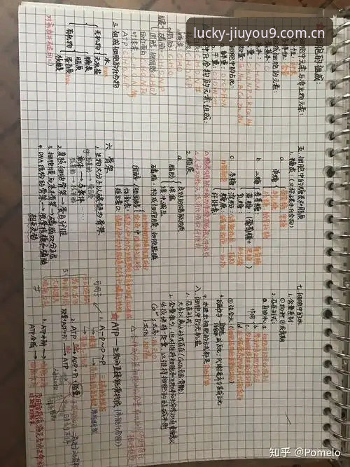 九游JIUYOU中国篮球水位数据 九游JIUYOU中国篮球水位数据全面评测:一个脱口秀主笔的答疑笔记